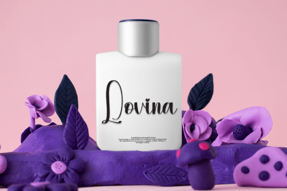Bride Font - Preview 1