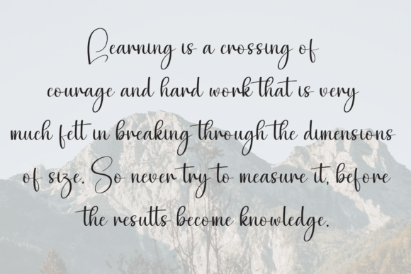 Brookly Font - Preview 5