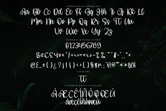 Farmhouse Signature Font - Preview 5