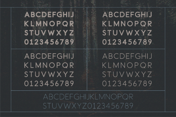 Fleurine Font - Preview 4
