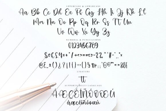 Shopie Signature Font font preview - 5
