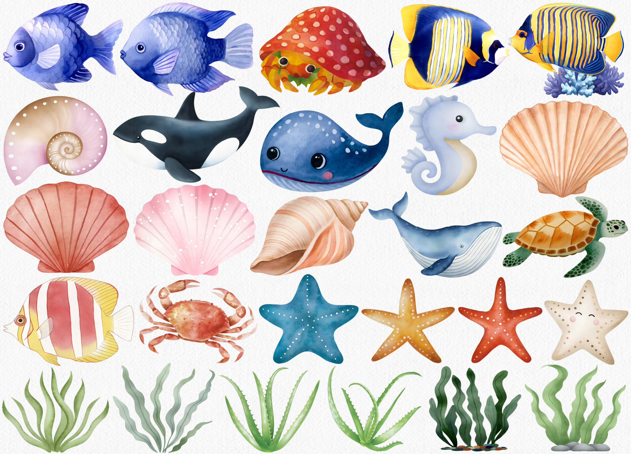 Watercolor Under the Sea Clipart - photo 3