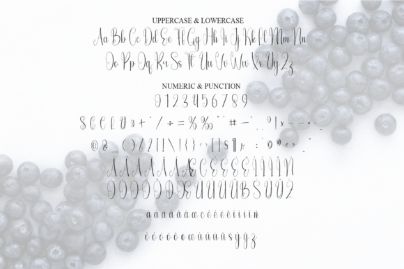 Blueberry Font - Preview 6