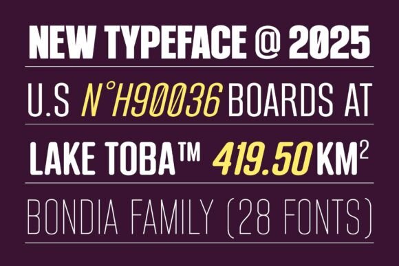 Bondia Font - Preview 6