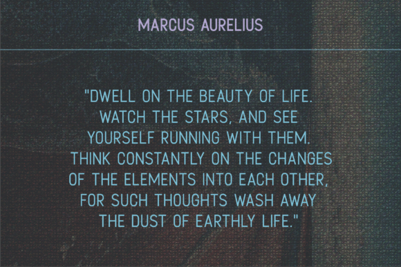 Calendula Font - Preview 5