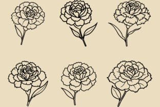 Carnation Flower Svg Bundle Graphic by aurnobnandy · Creative Fabrica
