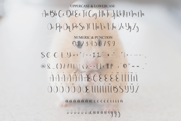 Cutes Font - Preview 6