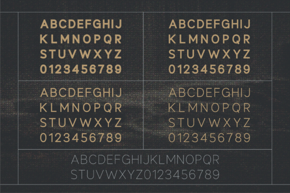 Delphinium Font - Preview 4
