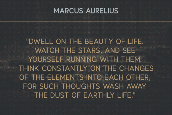Delphinium Font - Preview 5