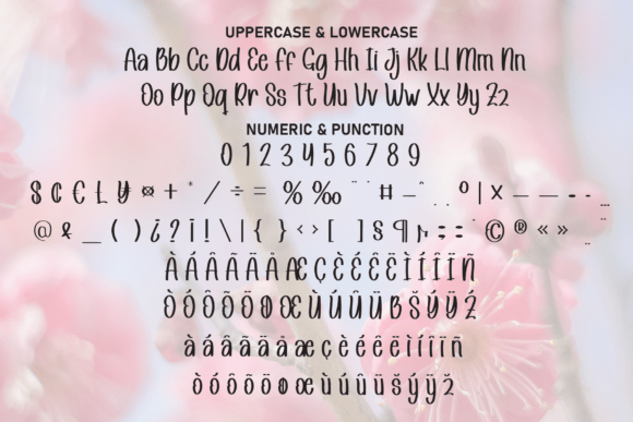 February Spring Font PNG with transparent background - Preview 6