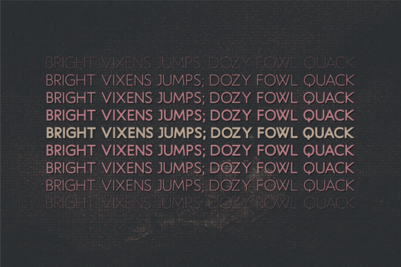 Haworthia Font - Preview 3