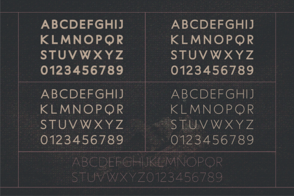 Haworthia Font - Preview 4