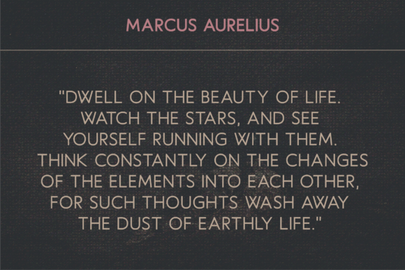 Haworthia Font - Preview 5