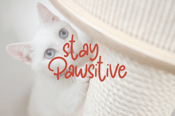 Pawty Tales Handwritten Font PNG with transparent background - Preview 1