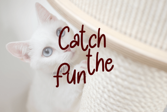 Pawty Tales Handwritten Font PNG with transparent background - Preview 3