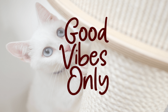 Pawty Tales Handwritten Font PNG with transparent background - Preview 4