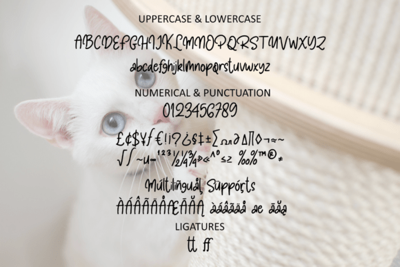 Pawty Tales Handwritten Font PNG with transparent background - Preview 5