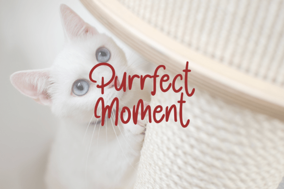 Pawty Tales Handwritten Font PNG with transparent background - Preview 6