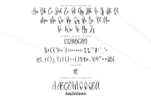 Sally Signature Font PNG with transparent background - Preview 5