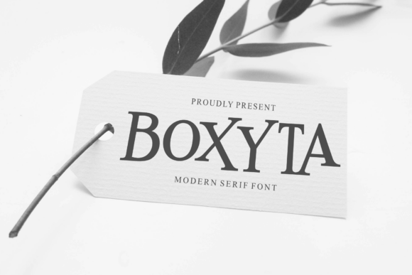 Boxyta Font PNG with transparent background - Preview 4
