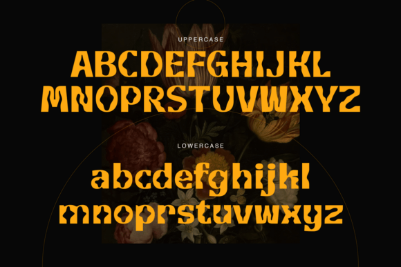 Elanor Font - Preview 1