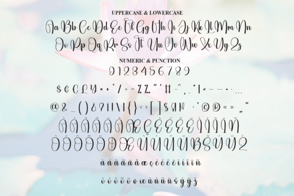 Harmony Font - Preview 6