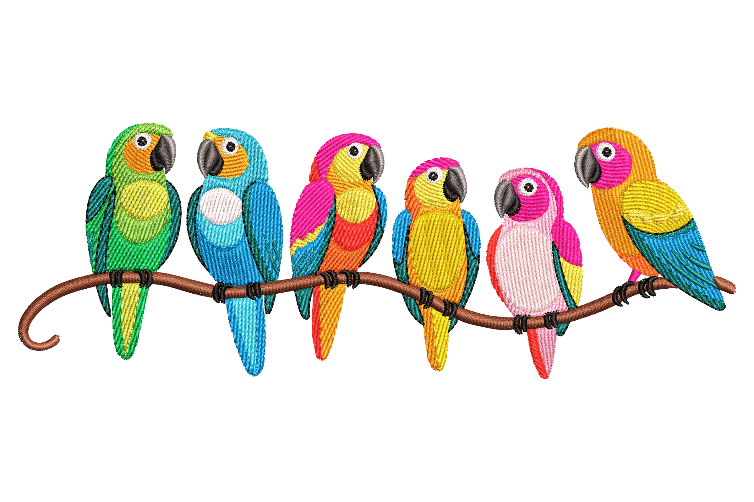 Rainbow Birds