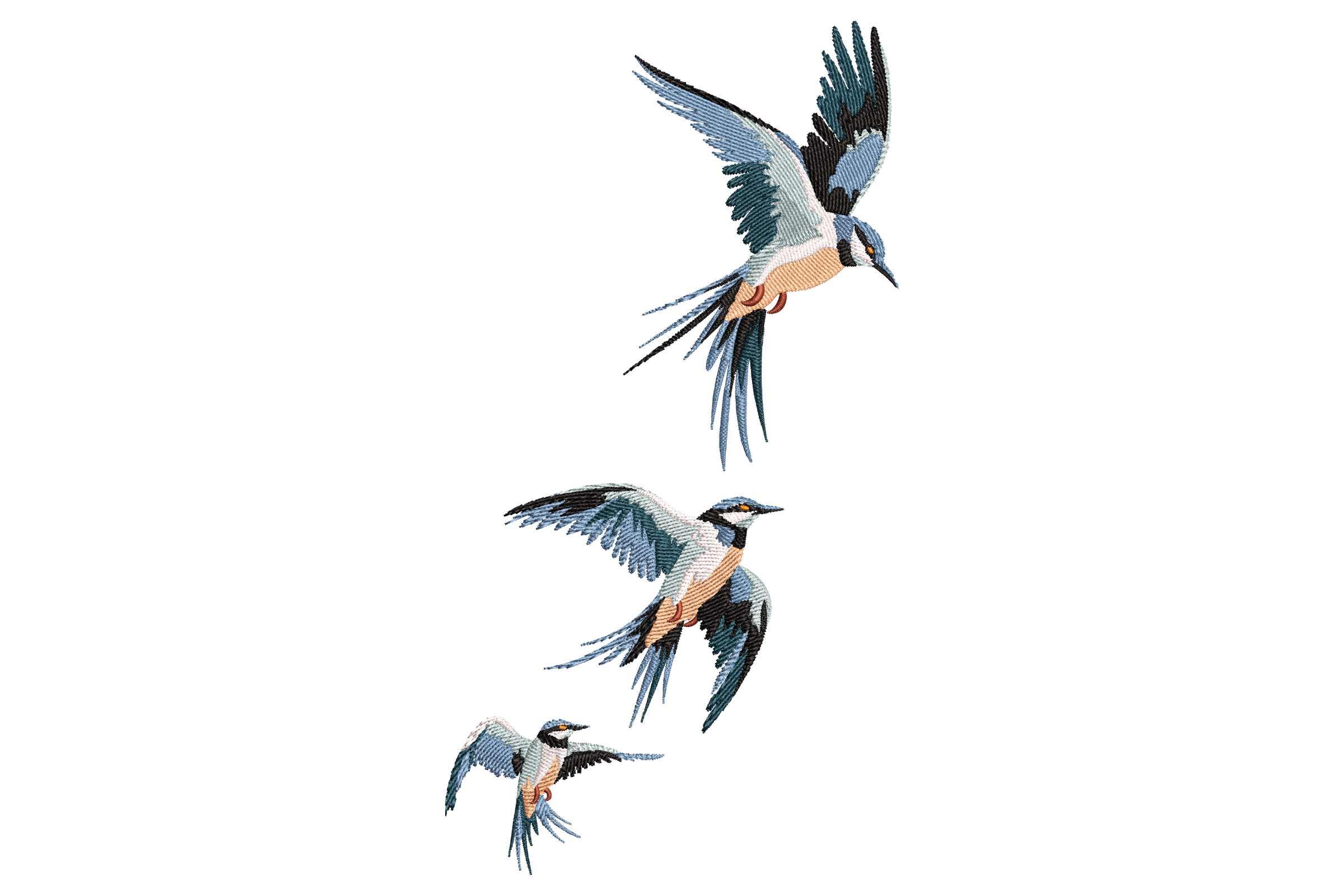 Soaring Swallows