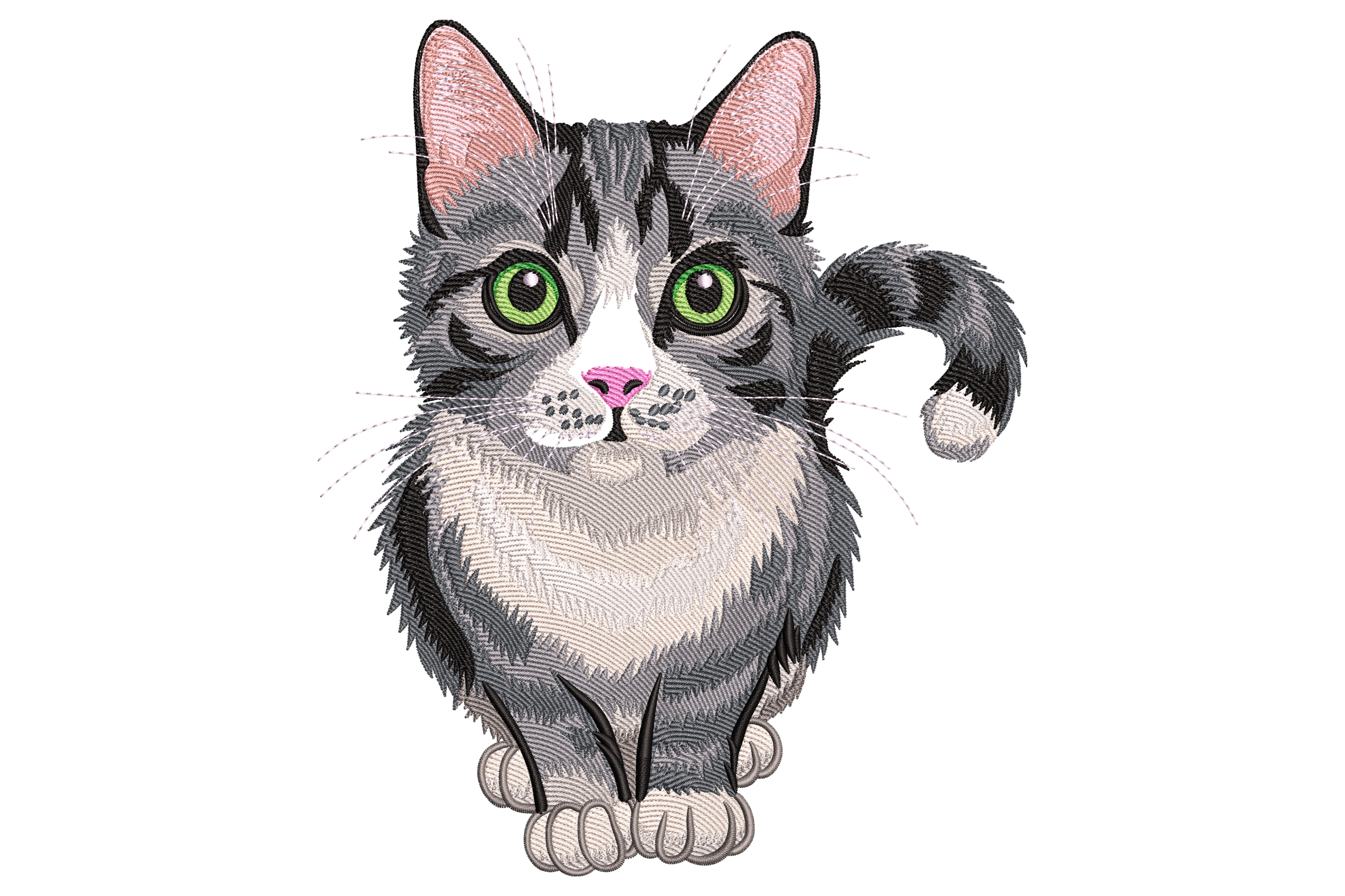 Tabby Cat