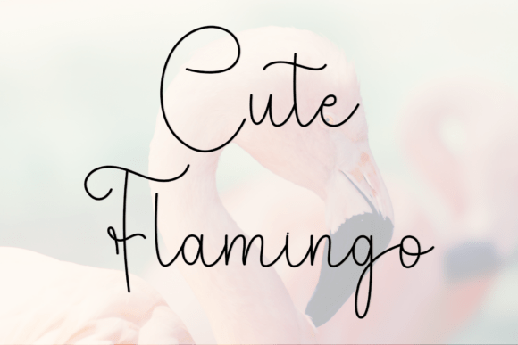 Beauty Flamingo Font - Preview 1