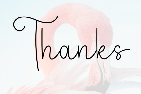 Beauty Flamingo Font - Preview 6