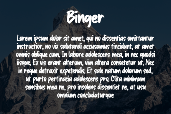 Binger Font - Preview 2
