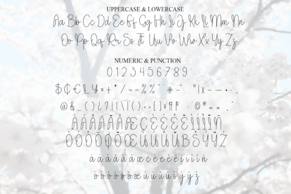 Brighten Font - Preview 6