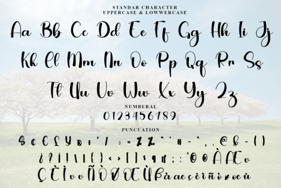 Baby Boho Font - Preview 3