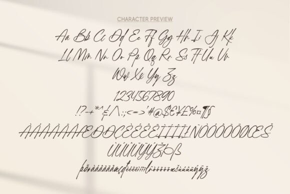 Browntone Font - Preview 4