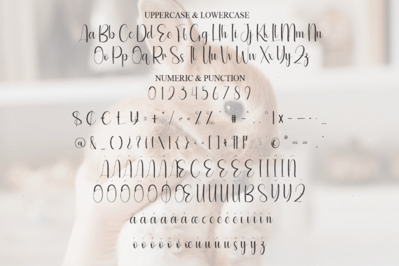 Bunny Font - Preview 6