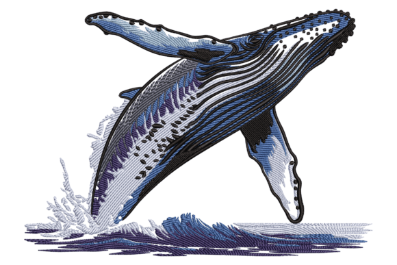 Dolphin