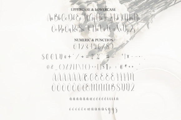 Elegant Font - Preview 6