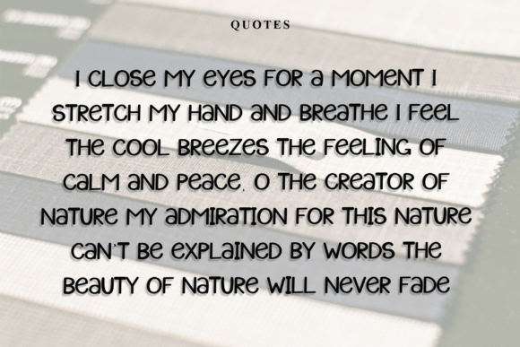 Applique Font - Preview 5