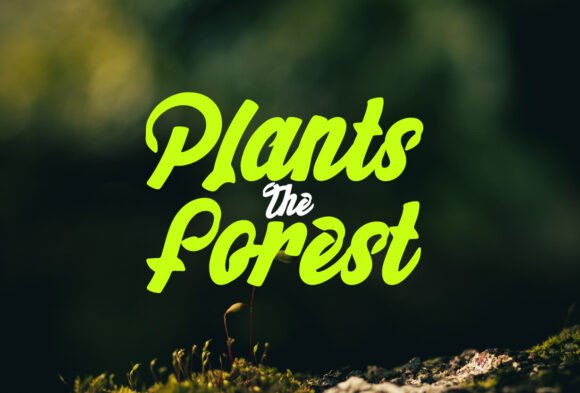 Bigheats Font - Preview 6