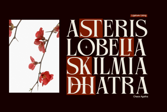 Chaos Agatha Font - Preview 3
