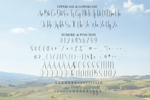 Country Font - Preview 6