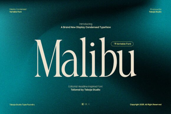 Malibu Font by Taboja Studio · Creative Fabrica font preview