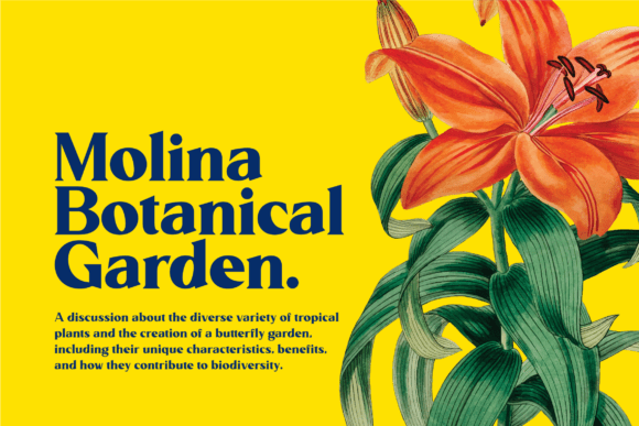 Althiera Font - Preview 2