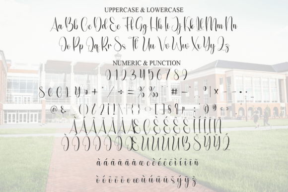 College Font - Preview 6