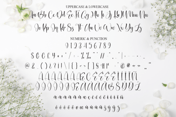 Bacalisties Font - Preview 6