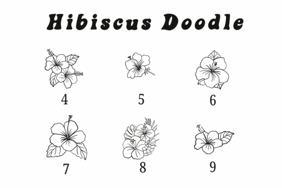 Hibiscus Doodle Font PNG with transparent background - Preview 3