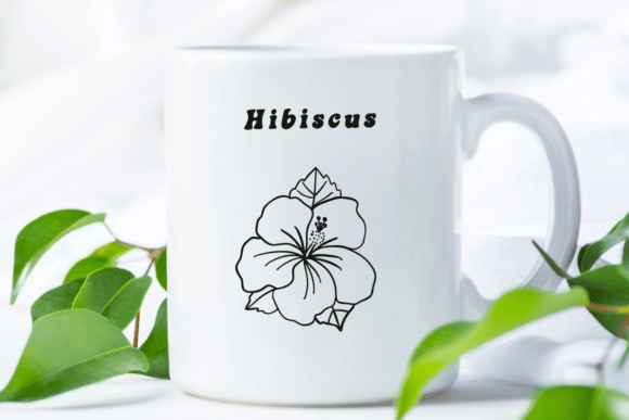 Hibiscus Doodle Font PNG with transparent background - Preview 6
