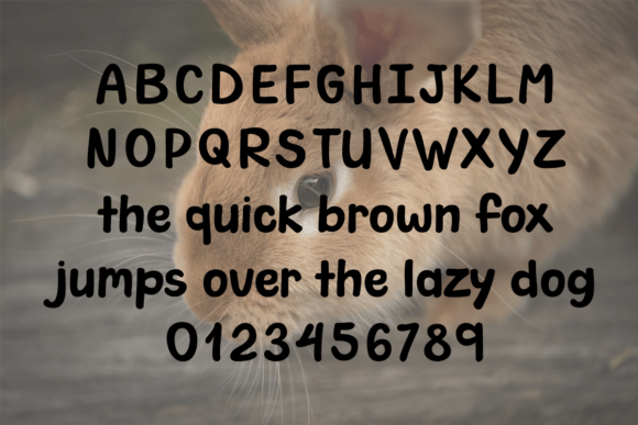 Chonky Bunny Font - Preview 1