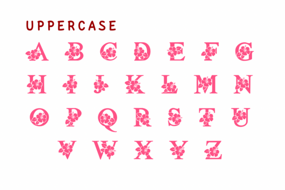 Hawaii Summer Font - Preview 1